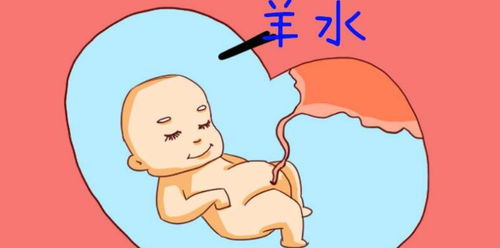 孩子从肚子里出来的瞬间是什么感受?