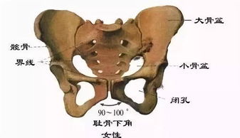 我生完孩子马上一年了，前两天刚又打掉一个孩子，现在做盆底修复效果会好吗？盆底修复是怎样做的？