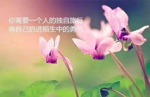 感谢关心我的人的句子怎样发朋友圈