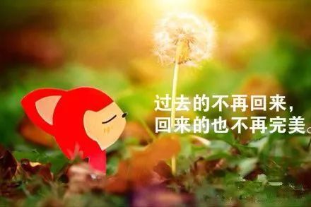 情人节发给爱人的句子短句[精选101句