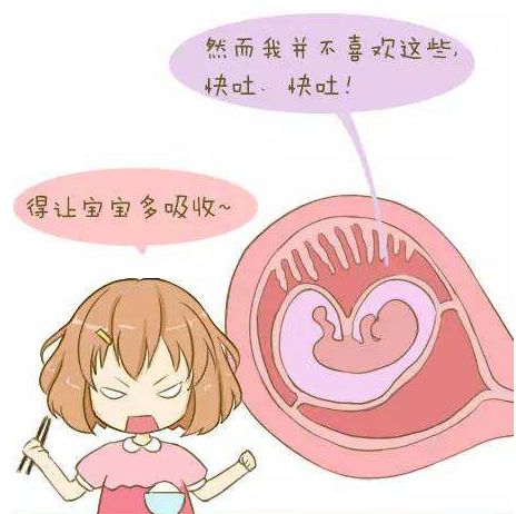 什么是胎儿肾盂分离