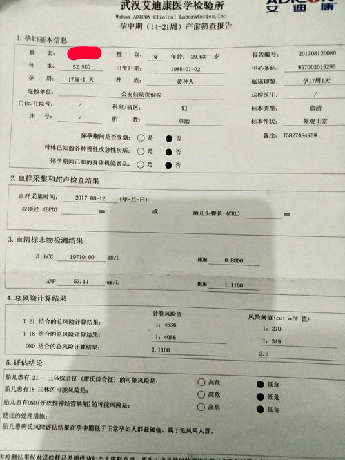 左心室强光斑怎么回事？