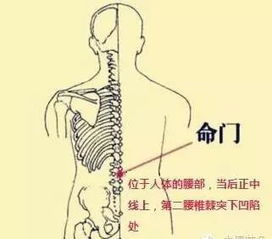 暖宫艾灸什么时候做最好