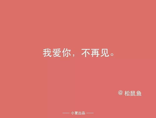 情人节表白文案知乎