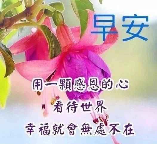 祝福表情图片大全微信带字