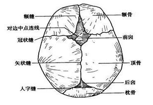 宝宝信门闭合早有什么影响吗？