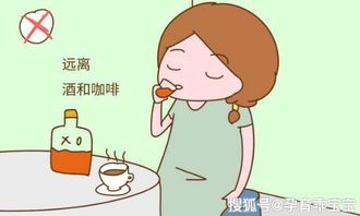 夫妻备孕需要做些什么准备