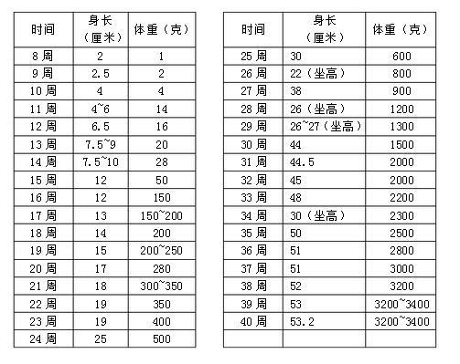 孕妇宫高是什么意思