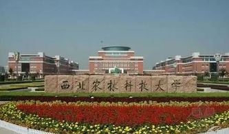 西北农林科技大学教务处官网