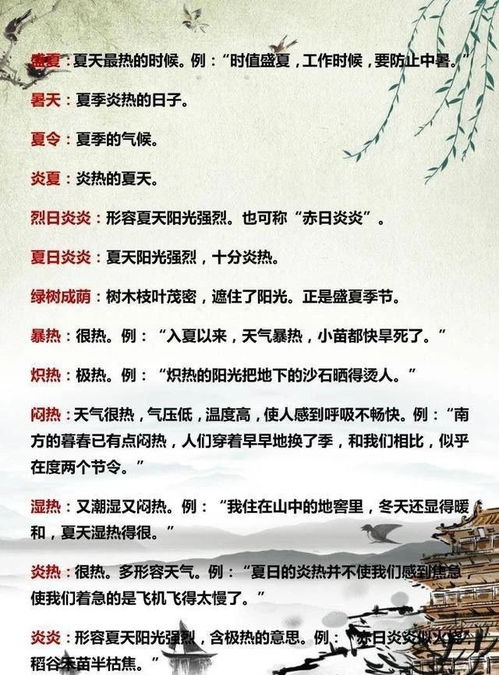 关于夏天的诗句或名言