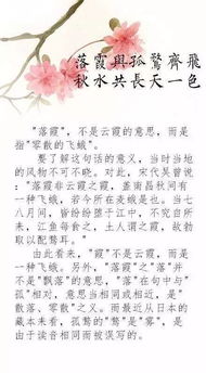 关于夏天的诗句或名言