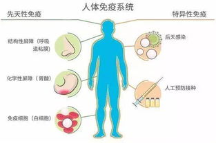 疾病分男女遗传吗