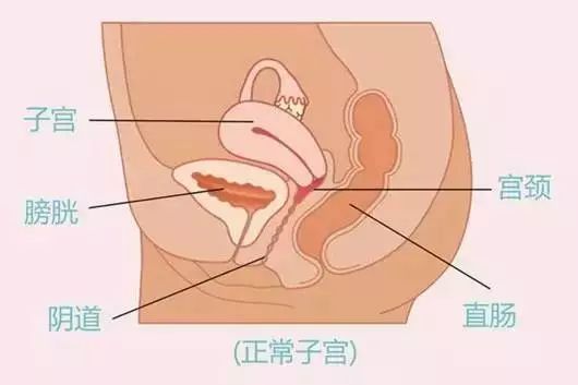 2018年春节是几月几号