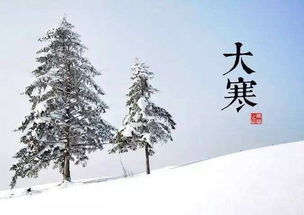 有关下雪文案[共计41句话