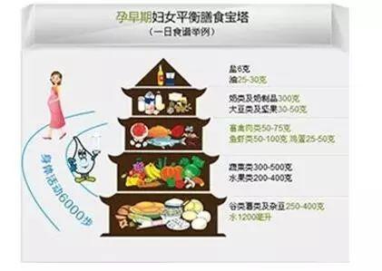 孕早期饮食营养补充指导图