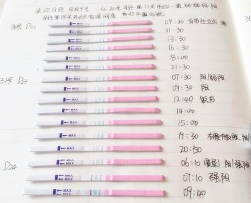 2019年9月28日受孕什么时候生