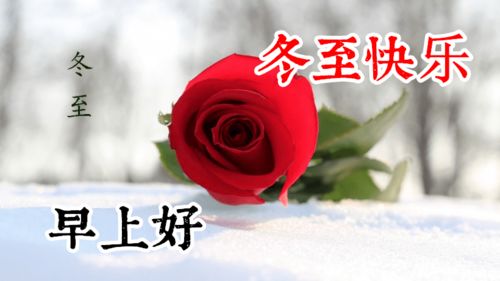 冬至祝福图片文字 微信