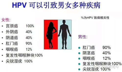 男人也会感染hpv吗