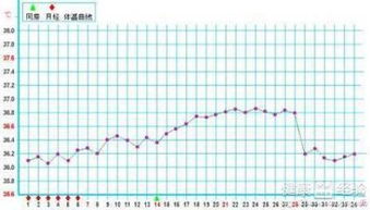 怀孕初期体温37度正常吗为什么