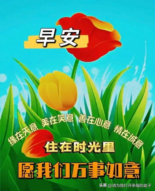 祝福异性朋友健康快乐[共计91段怎么写