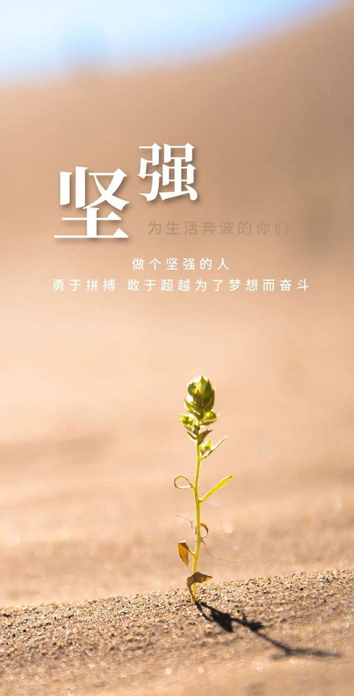 2021朋友圈简单而又走心的说说精辟