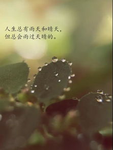 下雨天心情低落的短句