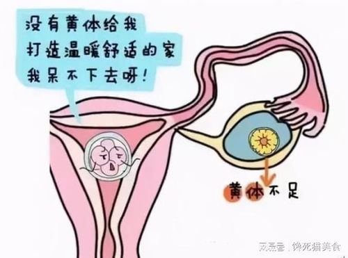 女性需要补充雌激素吗