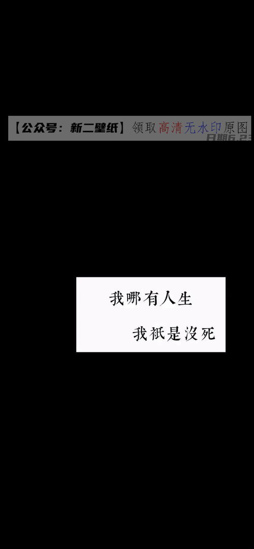 十二月份抖音文案