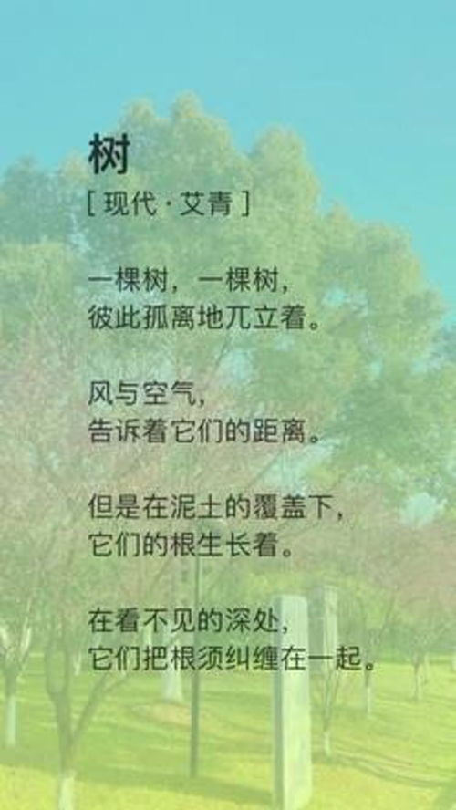 清晨的雨的诗句