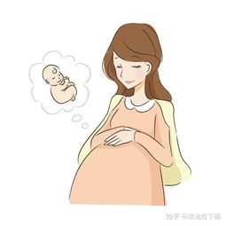 孕期各个阶段营养补充