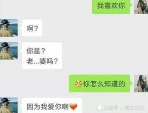 最暖心的撩妹情话