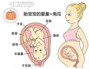 怀孕8周妊娠囊大小10×7×7mm是什么意思