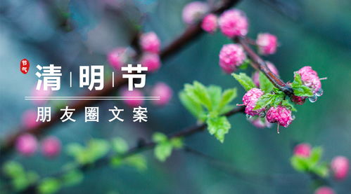 适合清明节发的朋友圈句子