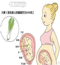 怀孕38周胎心监测宝宝缺氧怎么办