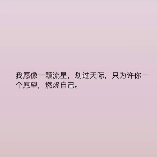 憧憬爱情的文案