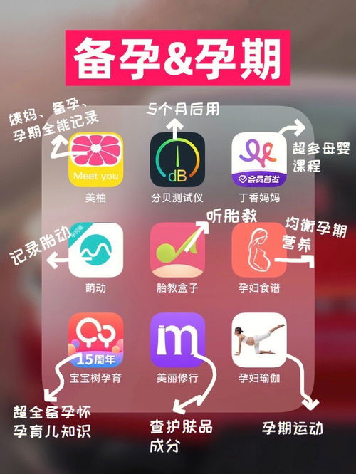 不知道什么时候没有注意，结果一查怀孕啦，请问有没有孕期最好用的app给推荐一个