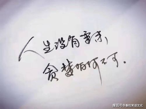 人生感悟的句子十个字