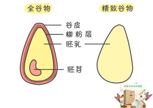 诊刮吃什么东西比较有营养呢