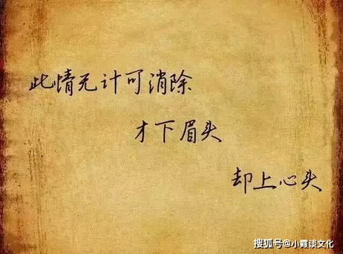 爱你已经深入骨的句子