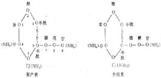 使用催产素的注意事项有哪些