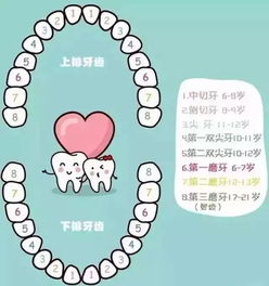 门牙磕掉可以报工伤吗？