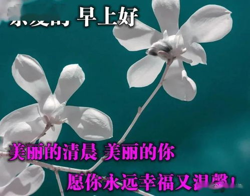 2021祝福语简短大气