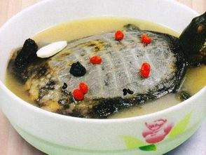 女人怀孕期间不要吃这5种食物