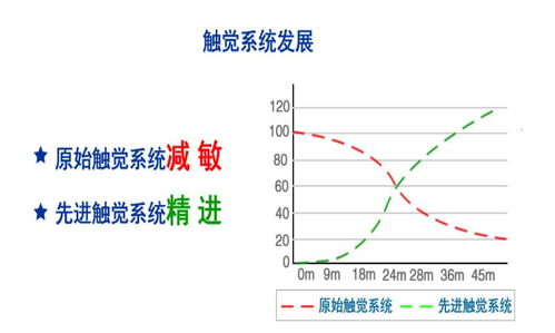 胎儿先天缺陷是什么原因造成的