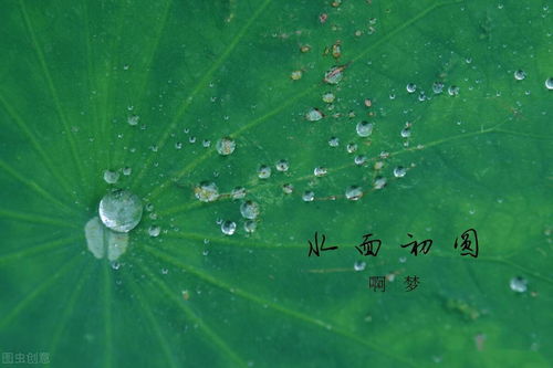 描写“下雨天”的诗句有哪些？