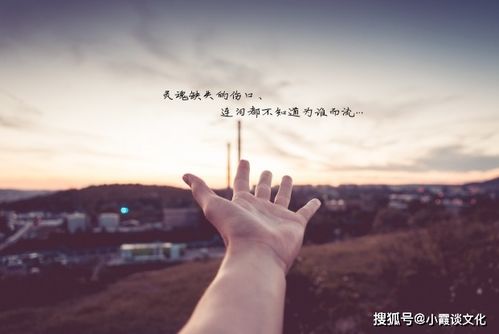 心情好又暖的短句