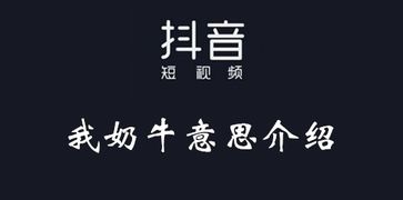 2021年抖音最火的文案句子