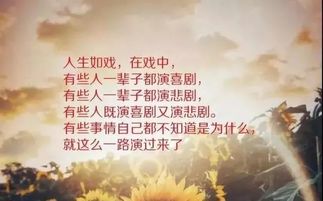 红尘路上的感言