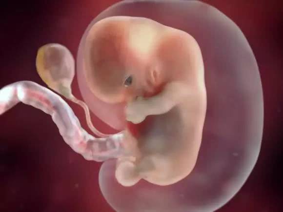 怀孕31周胎心是多少是正常