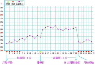 排卵期怎么容易受孕成功